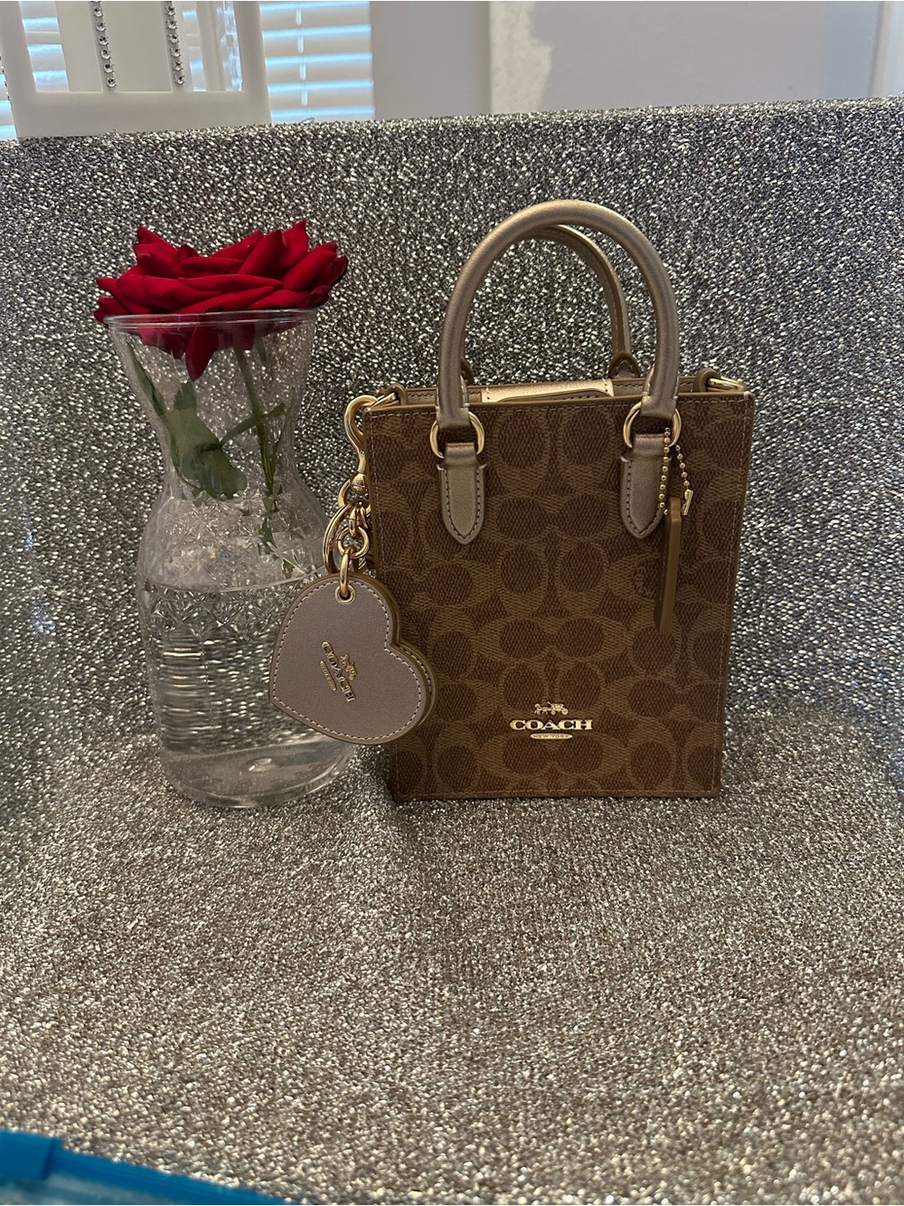 Coach Tote in Signature Brown with Taupe Trim